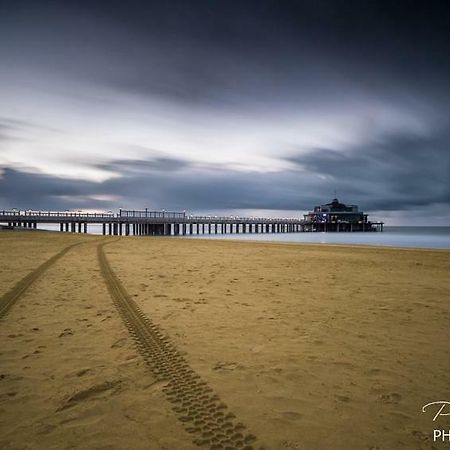 Studio Mare Nostrum Appartement Blankenberge Buitenkant foto